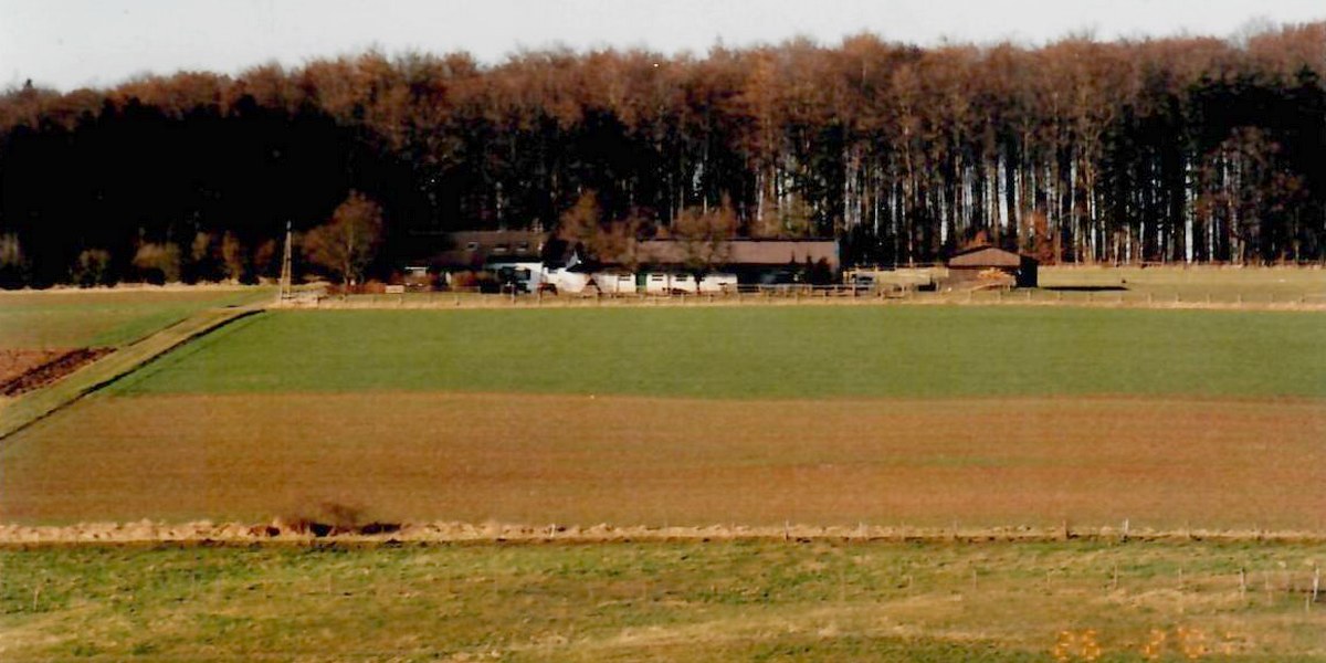 Dressurstall Sonnenhof
